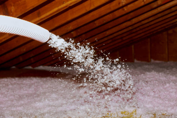 Best Types of Insulation in Jasmine Estates, FL